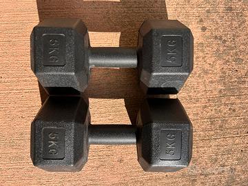 Coppia manubri palestra 5kg l’uno
