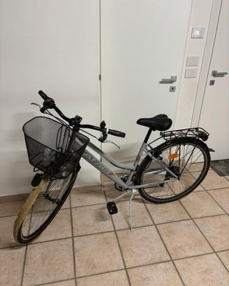 Biclcletta da uomo