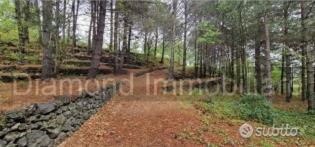 Terreno 20.000mq con fabbricato a Piedimonte Etneo - Altro