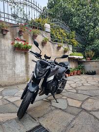 Honda Hornet 750