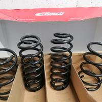 Molle EIBACH Pro-Kit