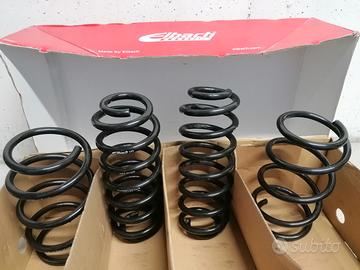 Molle EIBACH Pro-Kit