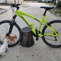 Bicicletta B-TWIN Rockrider 340 (prez. trattabile)