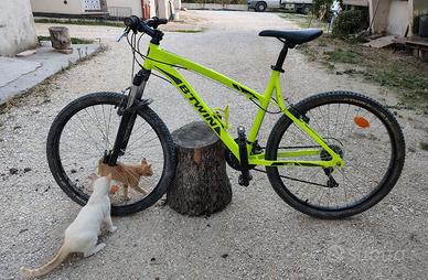 Bicicletta B-TWIN Rockrider 340 (prez. trattabile)