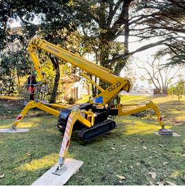 Piattaforma aerea ragno