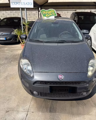 Fiat Punto 1.4 8V 5 porte Easypower Street