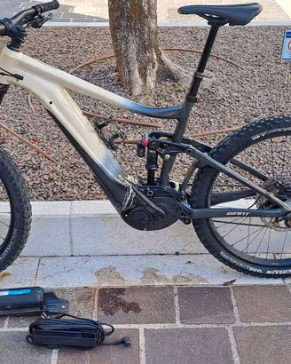 ebike giant reign e  pro2 
