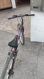 bicicletta Mountain bike 
