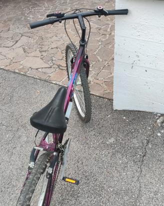 bicicletta Mountain bike 