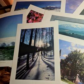 10 Foto-Quadri per arredo esposizione 