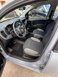 FIAT Panda 3ª serie Panda 1.0 FireFly S&S Hybrid