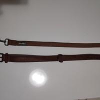 COLLARE  CON GUINZAGLIO PER CANE