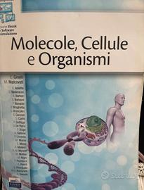 Molecole, cellule e organismi