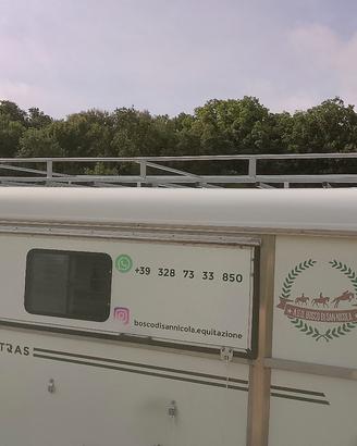 trasporto cavalli 