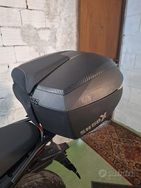 bauletto