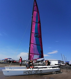 Hobie cat 17