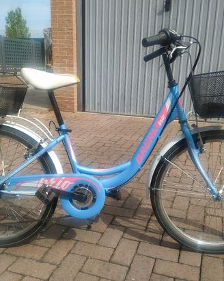 bicicletta 