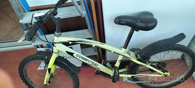 Mountain bike misura 20