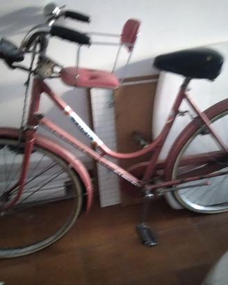 bicicletta Toro