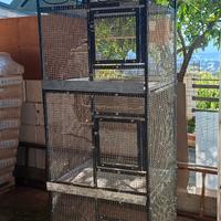 Gabbia voliera per pappagalli uccelli
