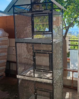 Gabbia voliera per pappagalli uccelli