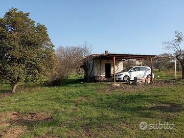 Terreno Agricolo con Rustico e piante da frutto