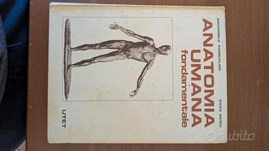 UTET Anatomia umana fondamentale Pasqualino, 1988