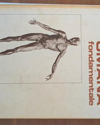 UTET Anatomia umana fondamentale Pasqualino, 1988