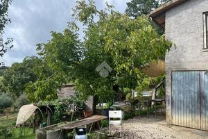 TER. AGRICOLO A AMELIA