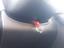 Immagine 11