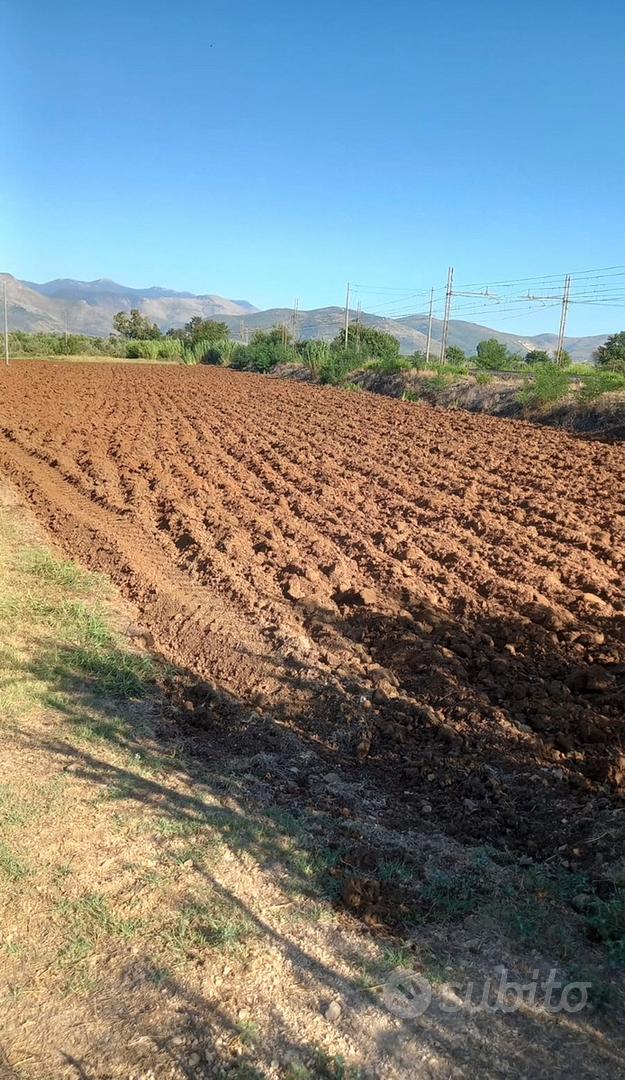 TERRENO AGRICOLO – FONDI (LT) - Vista 3