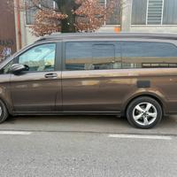 Viano marco polo