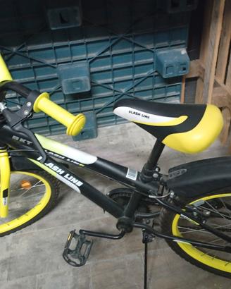 bicicletta 