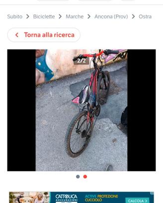 Mountain bike