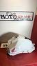 ricambi-honda-hornet-750-2023-2024