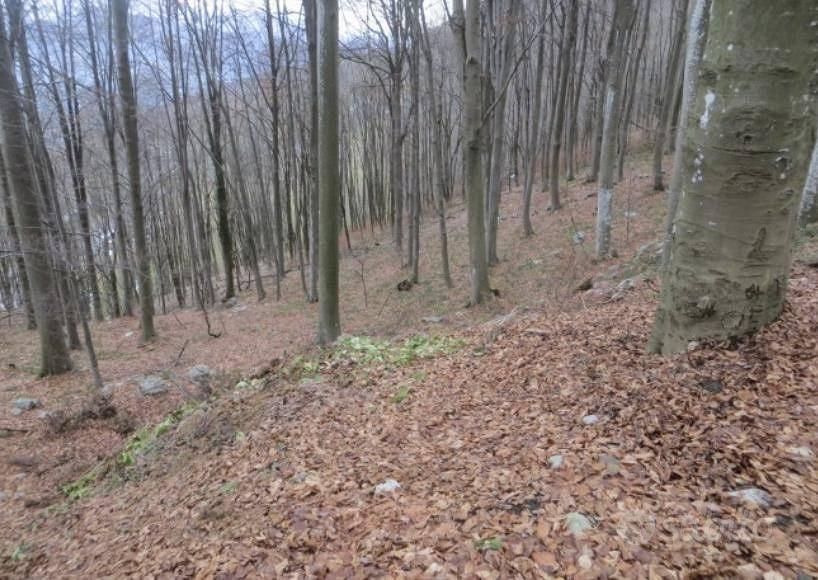 Immobile in asta di 62845 m² a Costa Valle Imagna - Vista 5