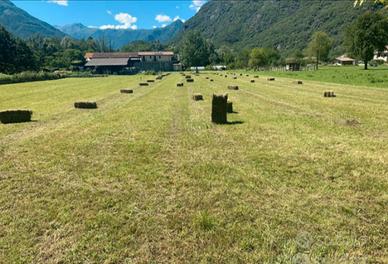 Fieno a ballette