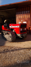 Massey Ferguson 254C