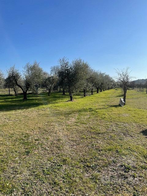Posto per tranquillita e relax - Vista 2