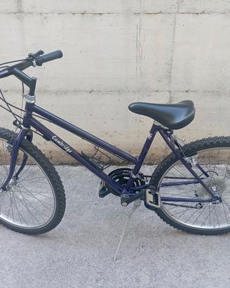 Bici donna