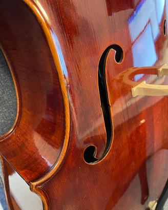 Violoncello '900