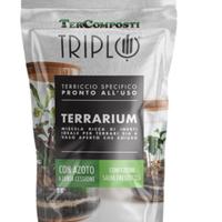 Terriccio per terrarium
