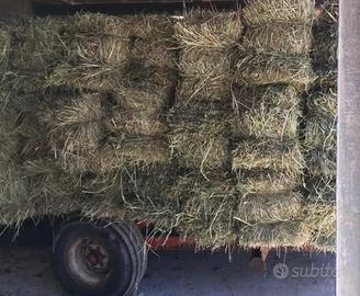 Fieno in Ballette di erba medica