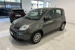 FIAT Panda 1.0 FireFly S&S Hybrid Sensori di par