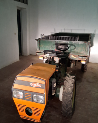 Trattore Goldoni 719