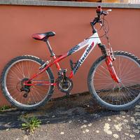 Mountain bike misura 24,5