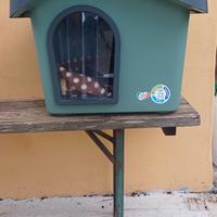 Cuccia x cani di piccola taglia 