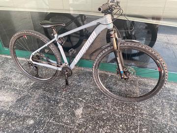 Lombardo 29