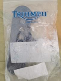triumph speed triple 955i anno 2001