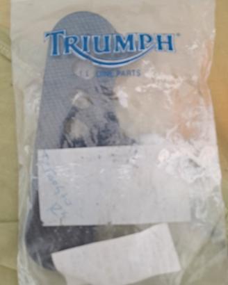 triumph speed triple 955i anno 2001